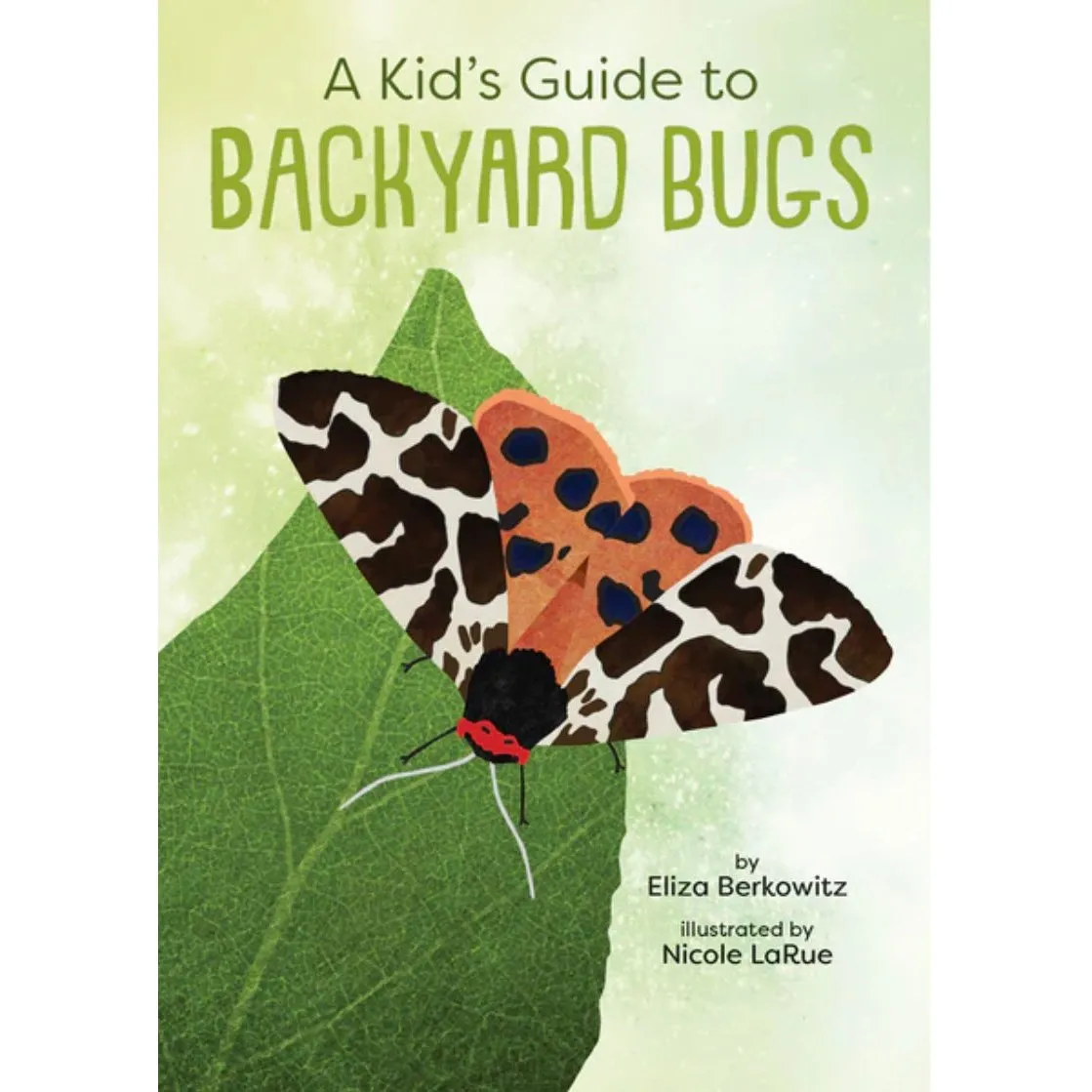 A Kid’s Guide to Backyard Bugs