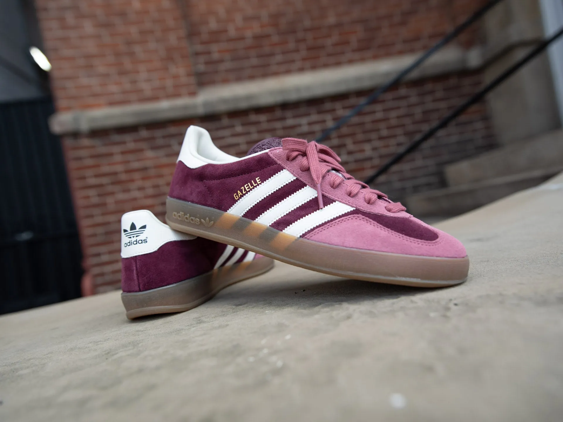 Adidas Gazelle Indoor 'Maroon'