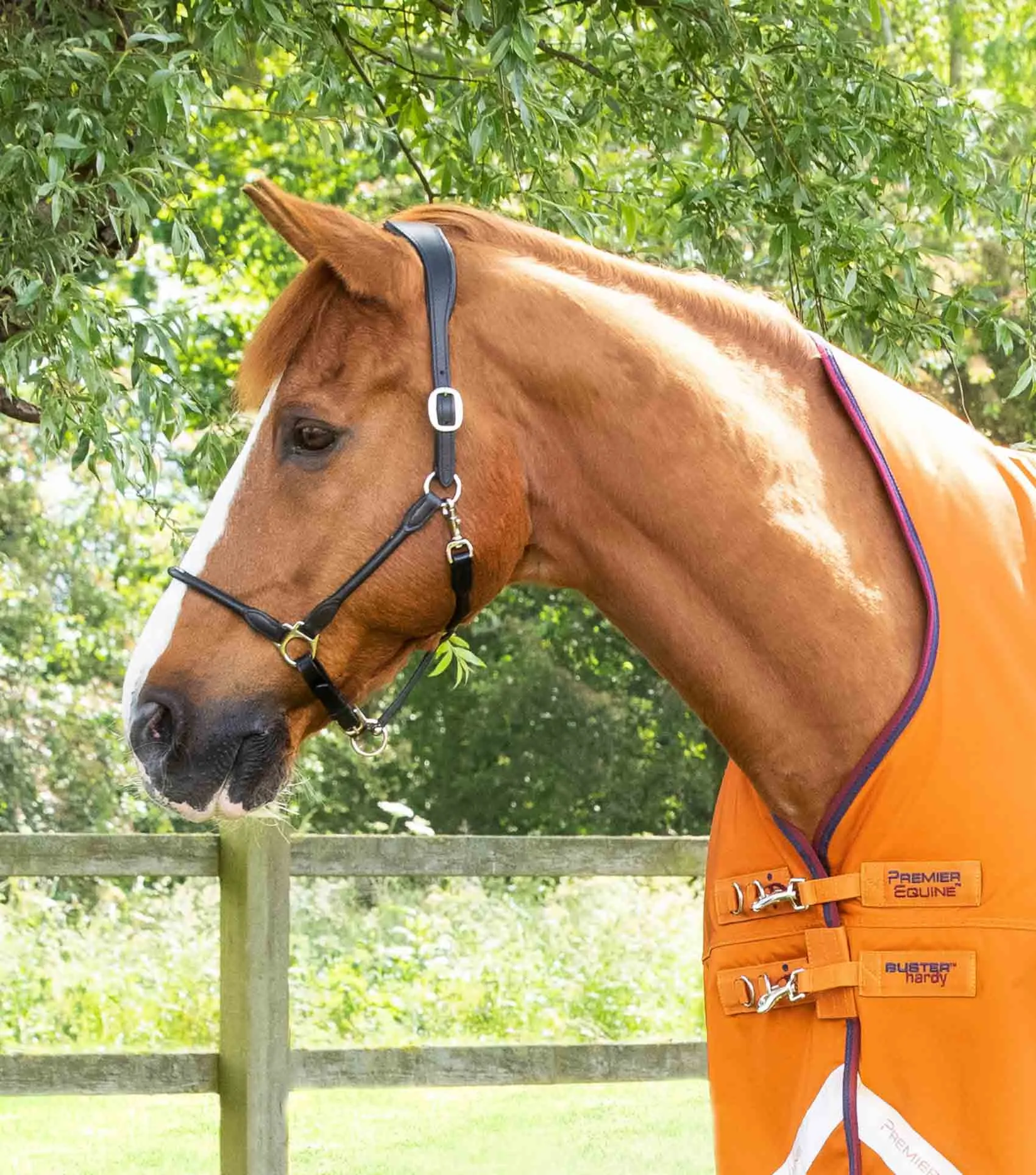 Buster Hardy 200g Half Neck Turnout Rug Burnt Orange