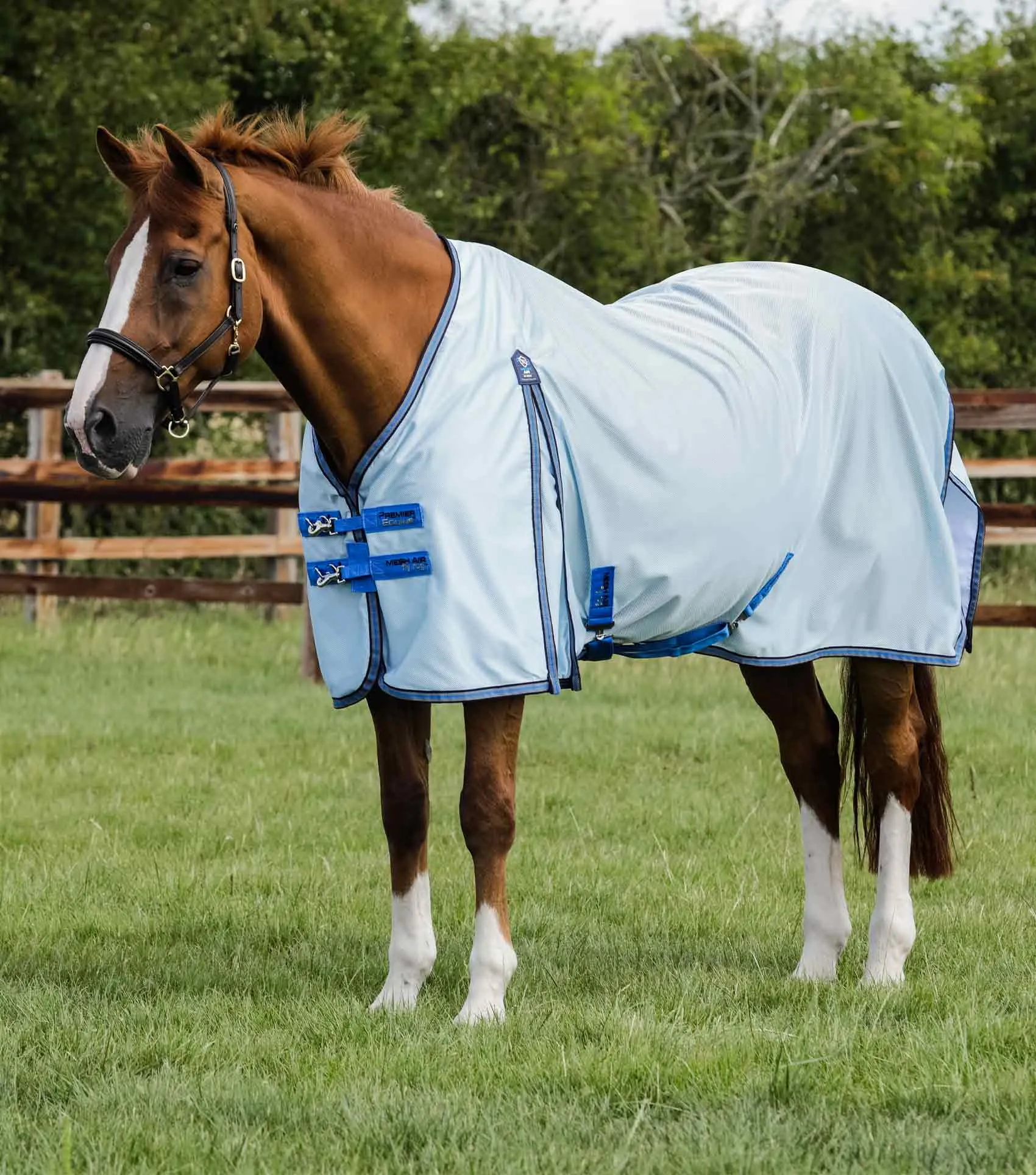 Mesh Air Fly Rug with Surcingles Blue