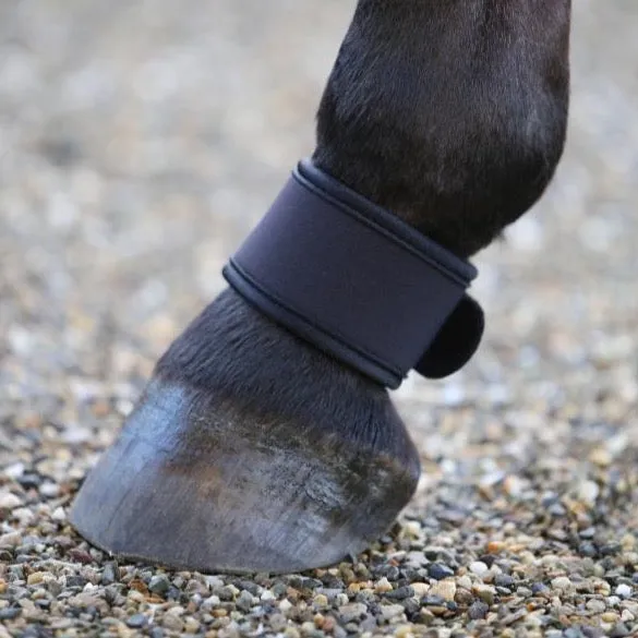 Pastern Wrap