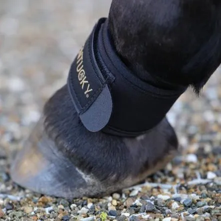 Pastern Wrap