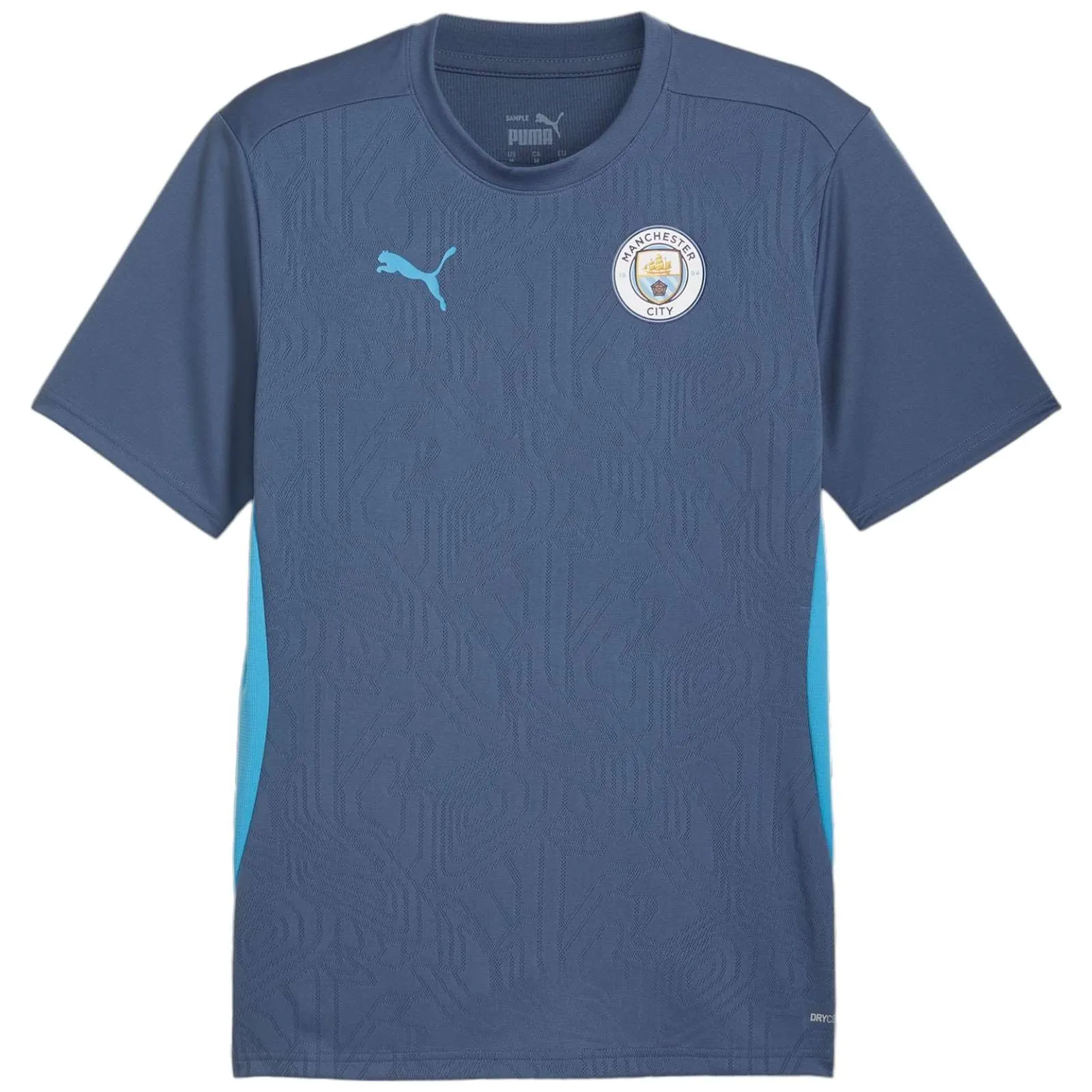 Puma Manchester City FC 2024/25 Home Training Short Sleeved Jersey