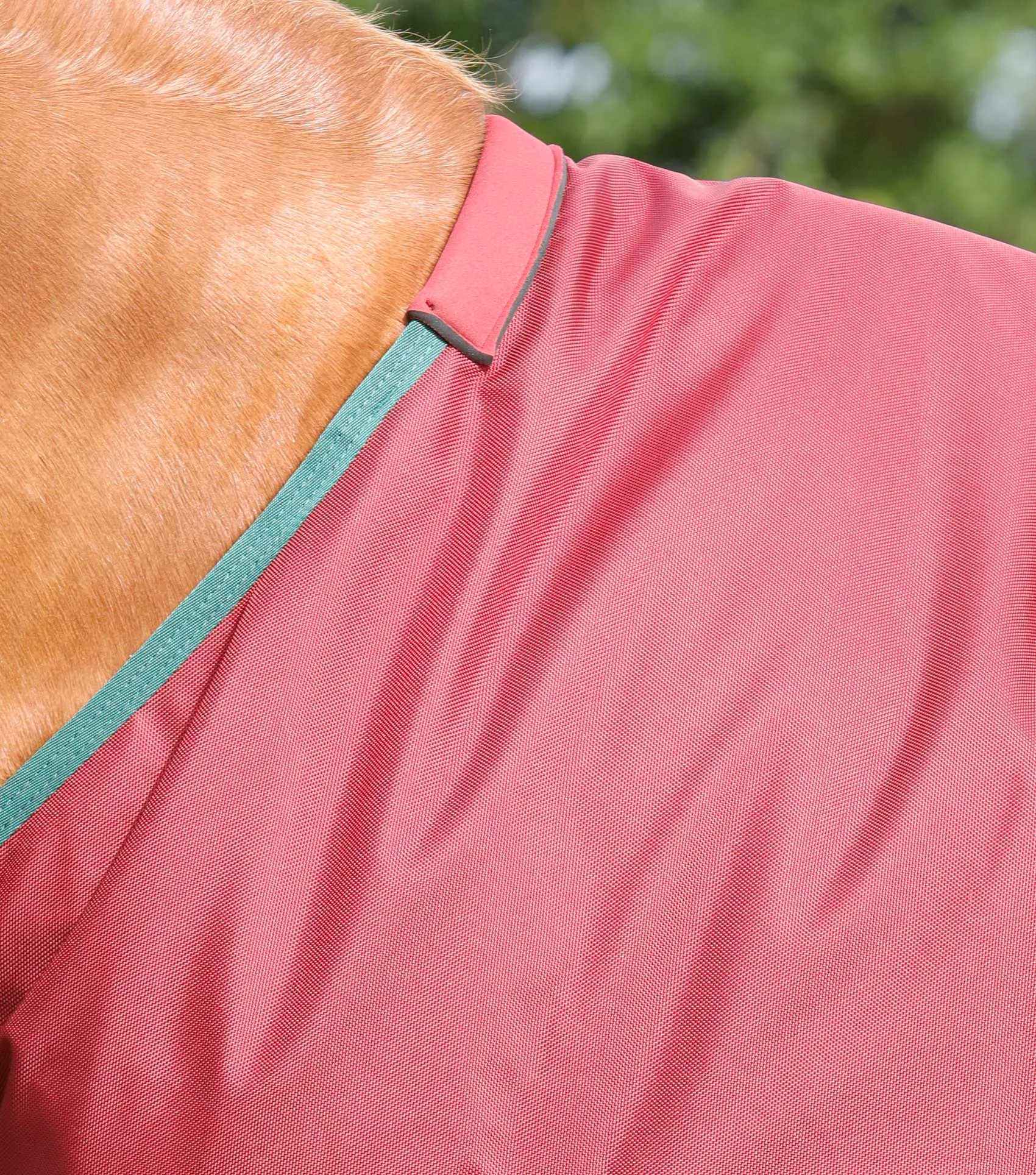 Titan 100g Original Turnout Rug Burgundy