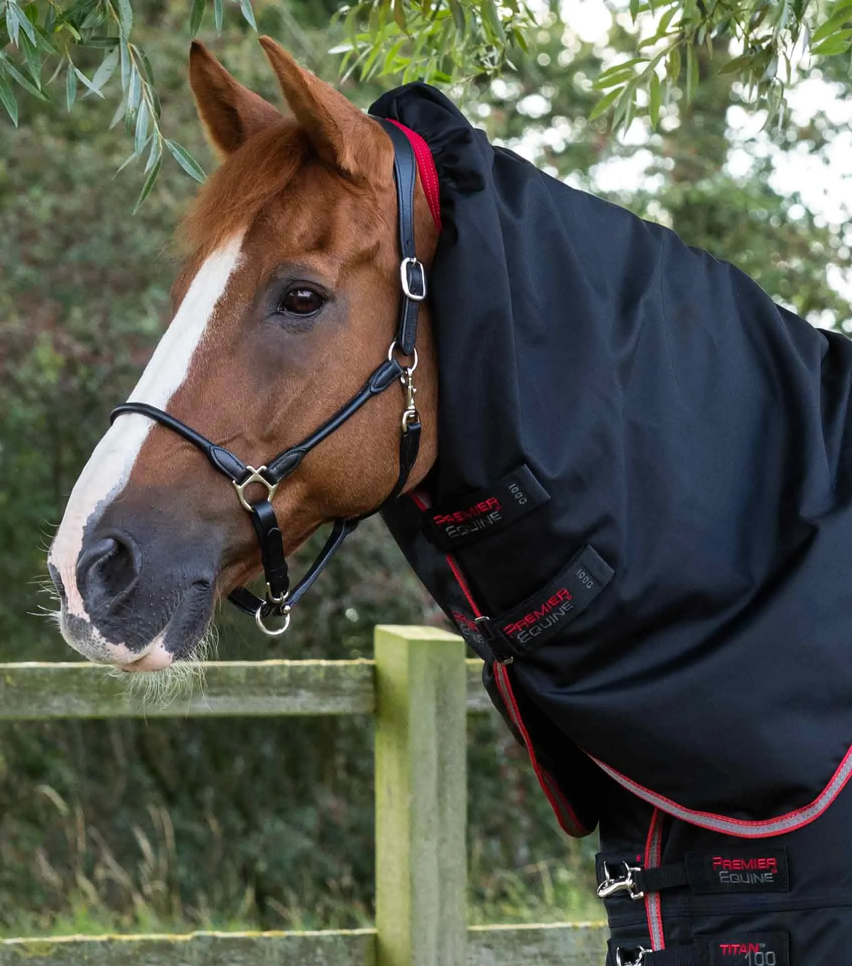 Titan 100g Turnout Rug with Snug-Fit Neck Cover Black