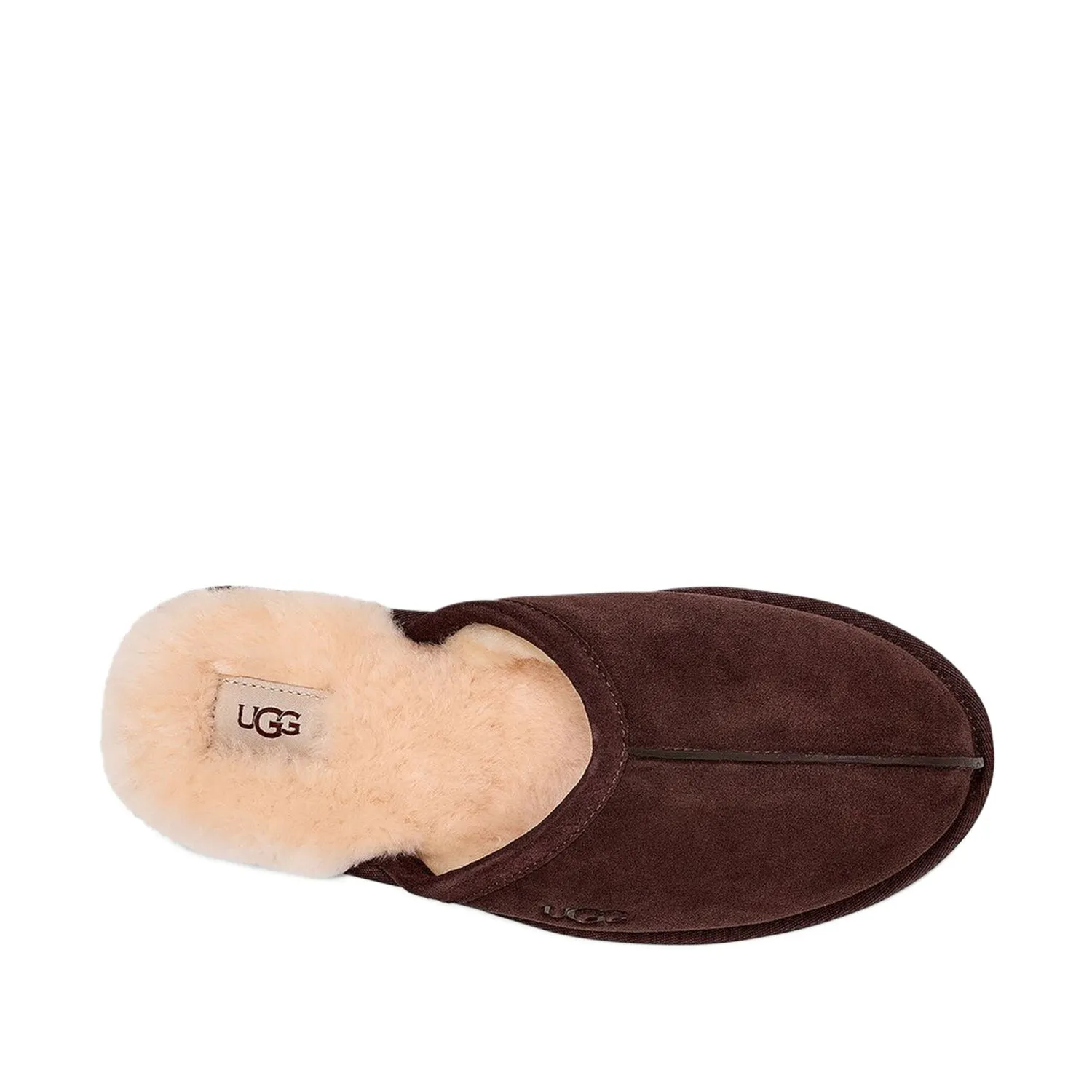 UGG Men's Scuff in Espresso