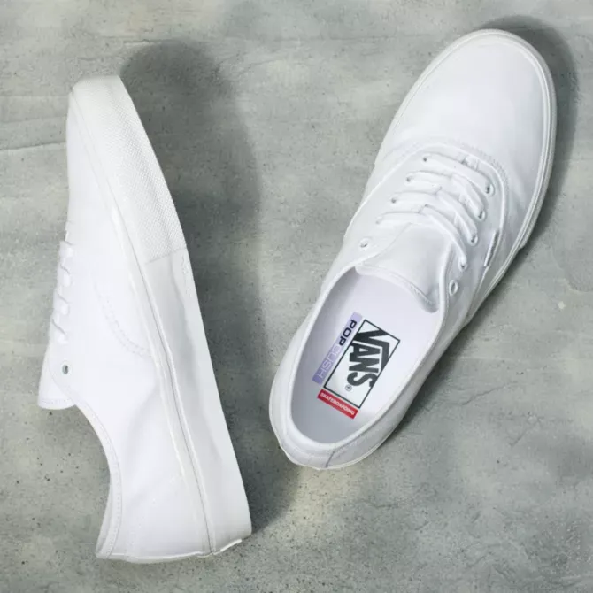 Vans Skate Authentic Shoes